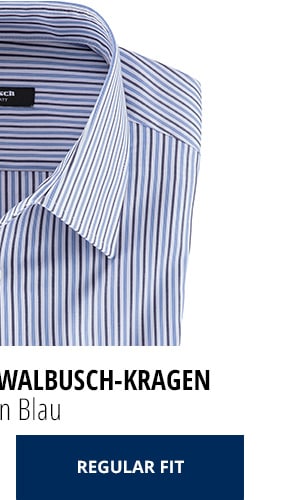 2 Hemden | Walbusch